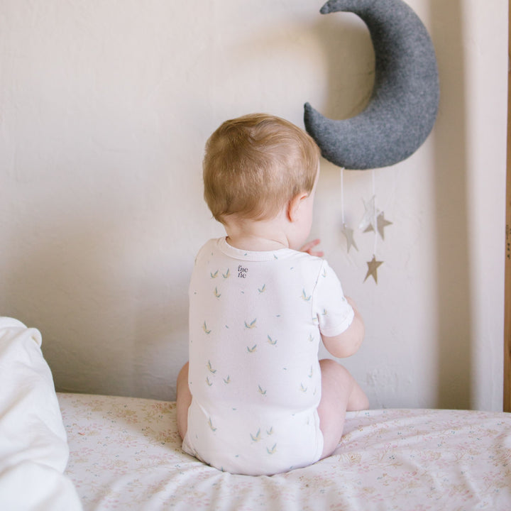 Faerie baby boy short sleeve pk