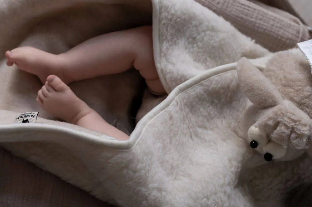 Alwero wrap blanket Wingy duo-light grey
