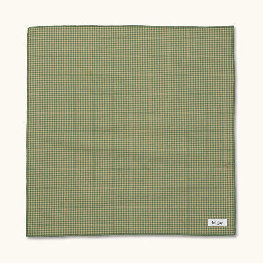 Lalaby Eddie scarf - green check