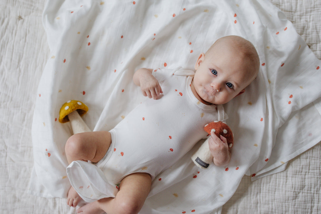 Faerie boys swaddle