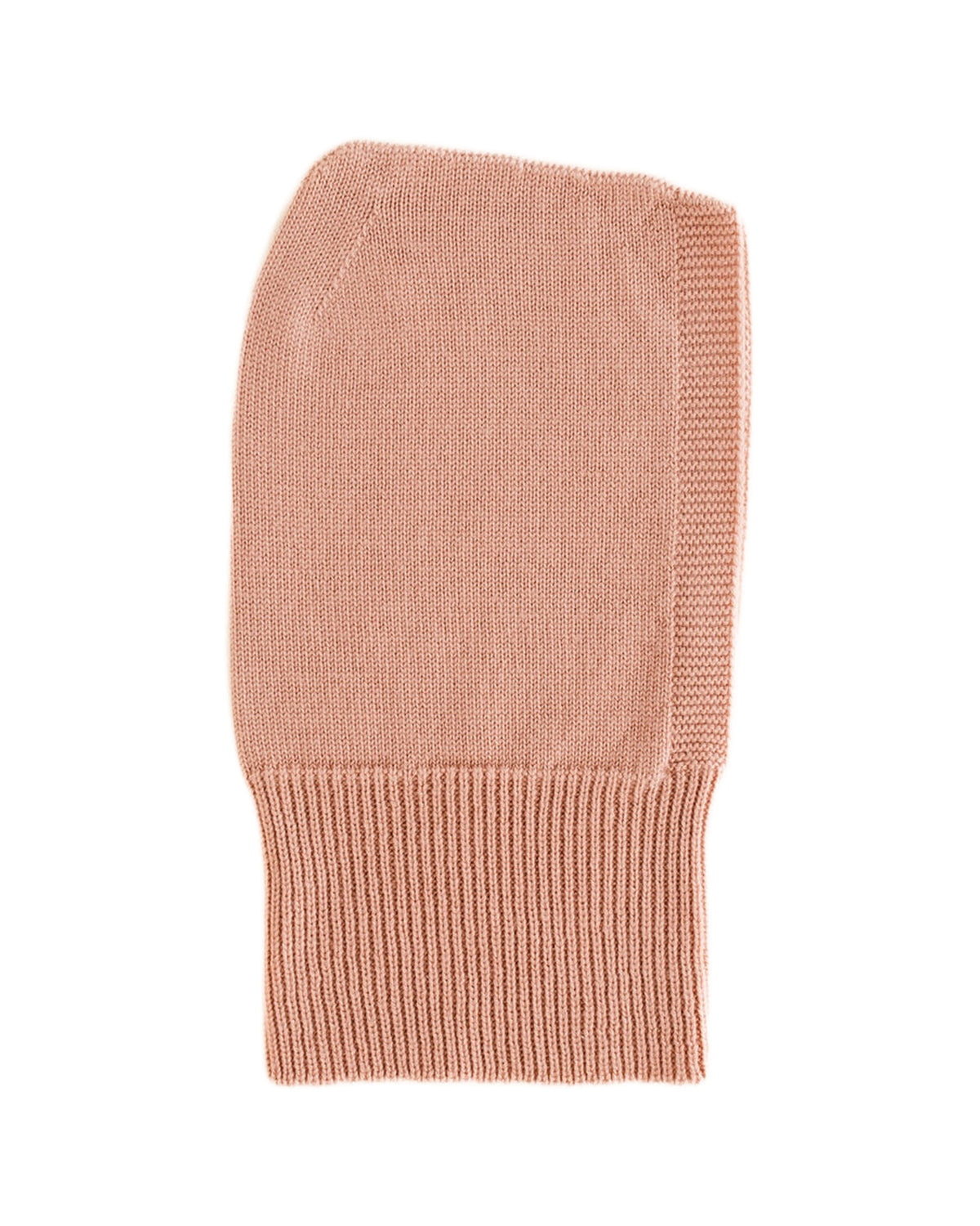 Hvid Balaclava rose on white