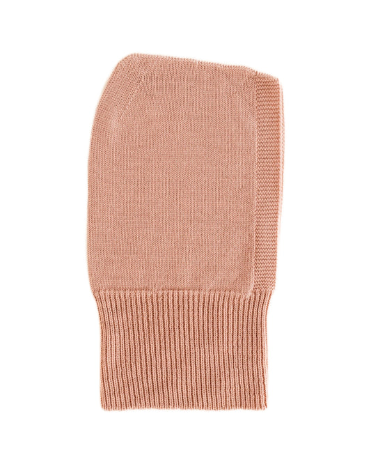 Hvid Balaclava rose on white